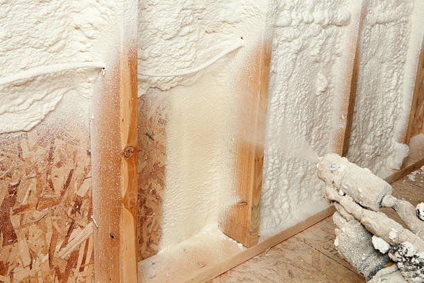 Best Basement Insulation in USA